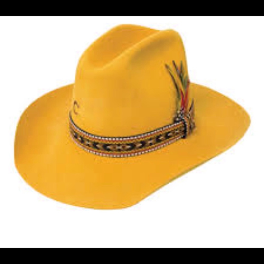 Charlie 1 Horse Hat